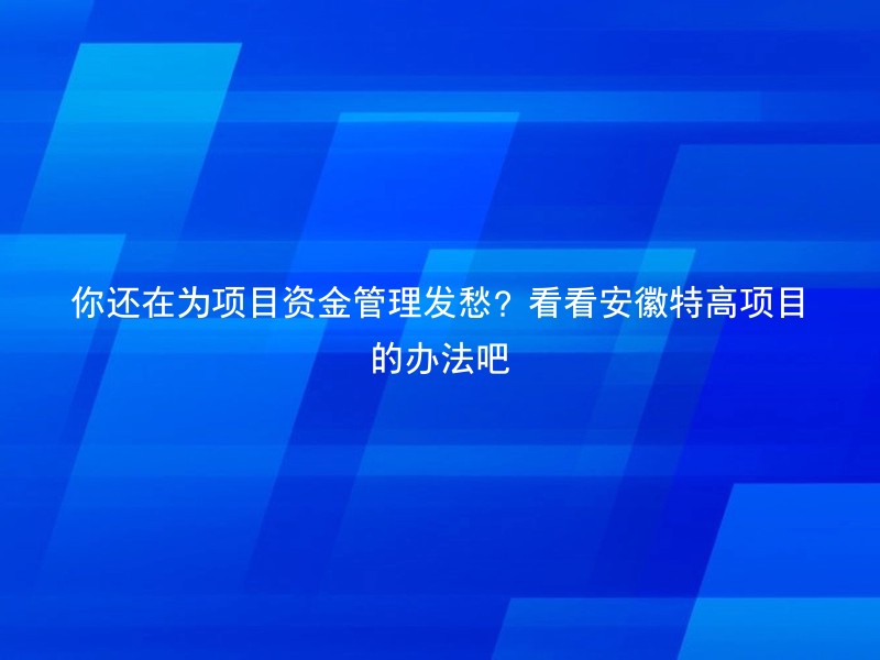 你还在为项目资金管理发愁？看看安徽特高项目的办法吧