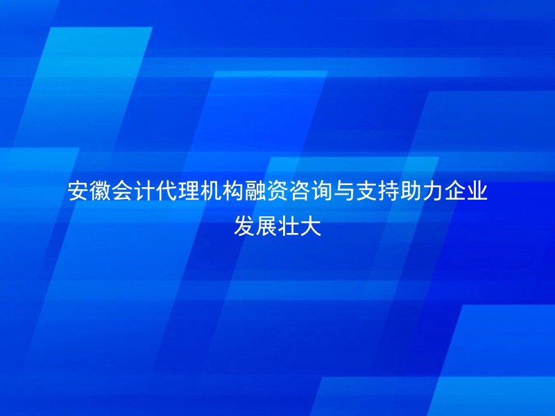 安徽会计代理机构融资咨询与支持助力企业发展壮大