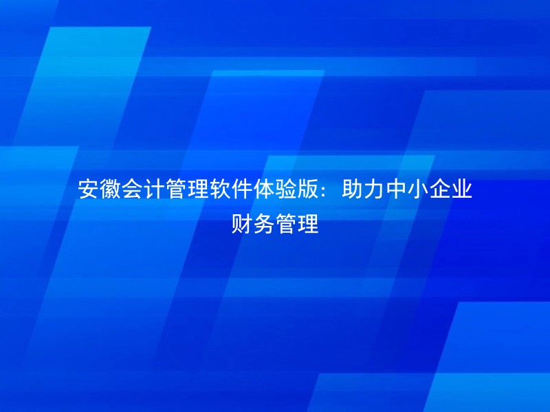 安徽会计管理软件体验版：助力中小企业财务管理