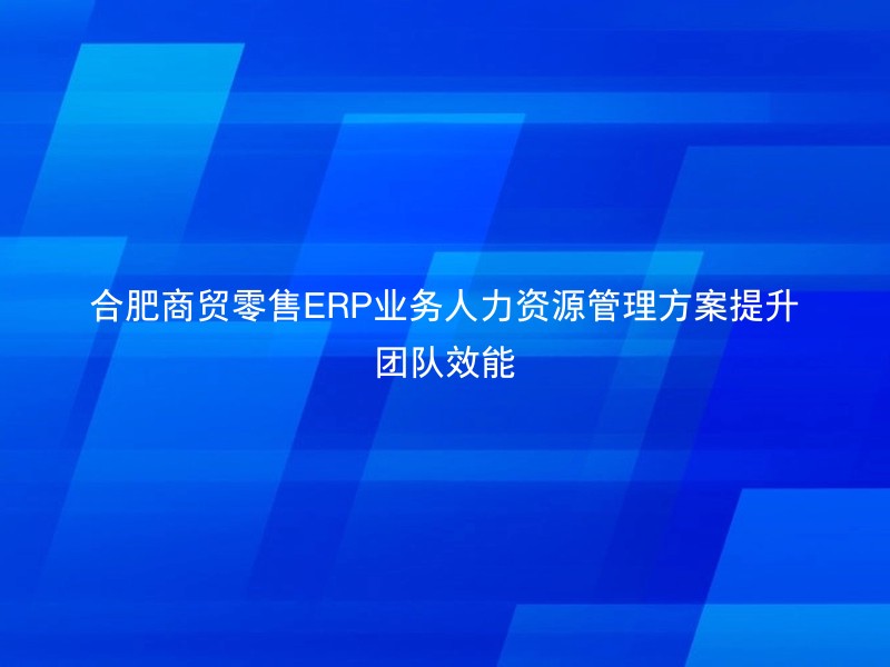 合肥商贸零售ERP业务人力资源管理方案提升团队效能