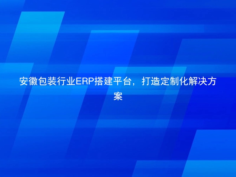 安徽包装行业ERP搭建平台，打造定制化解决方案