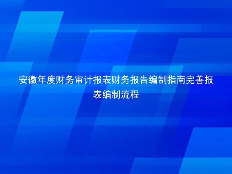 安徽年度财务审计报表财务报告编制指南完善报表编制流程