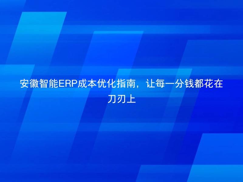 安徽智能ERP成本优化指南，让每一分钱都花在刀刃上