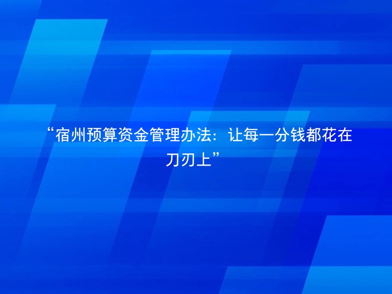 “宿州预算资金管理办法：让每一分钱都花在刀刃上”