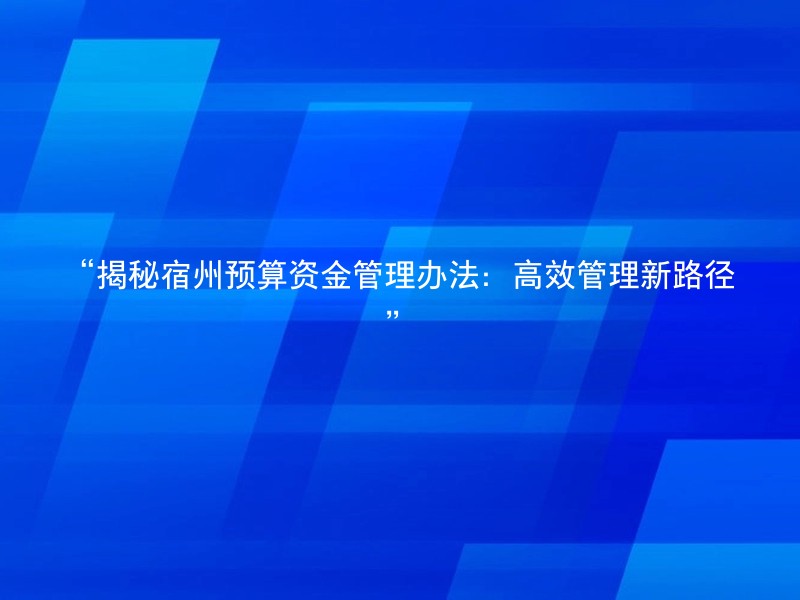 “揭秘宿州预算资金管理办法：高效管理新路径”